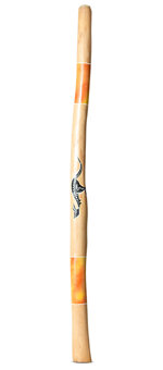 Nathan Falk Didgeridoo (PW368)